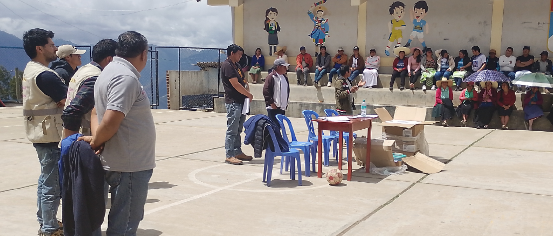 Minera Poderosa lanza proyecto agrícola para cultivar mango Edward en el centro poblado La Victoria en Sartimbamba