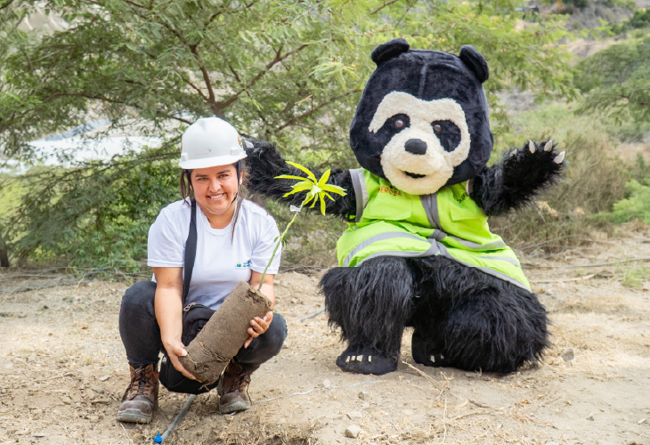 Minera Poderosa impulsa su campaña ambiental denominada “Raíces Poderosas”